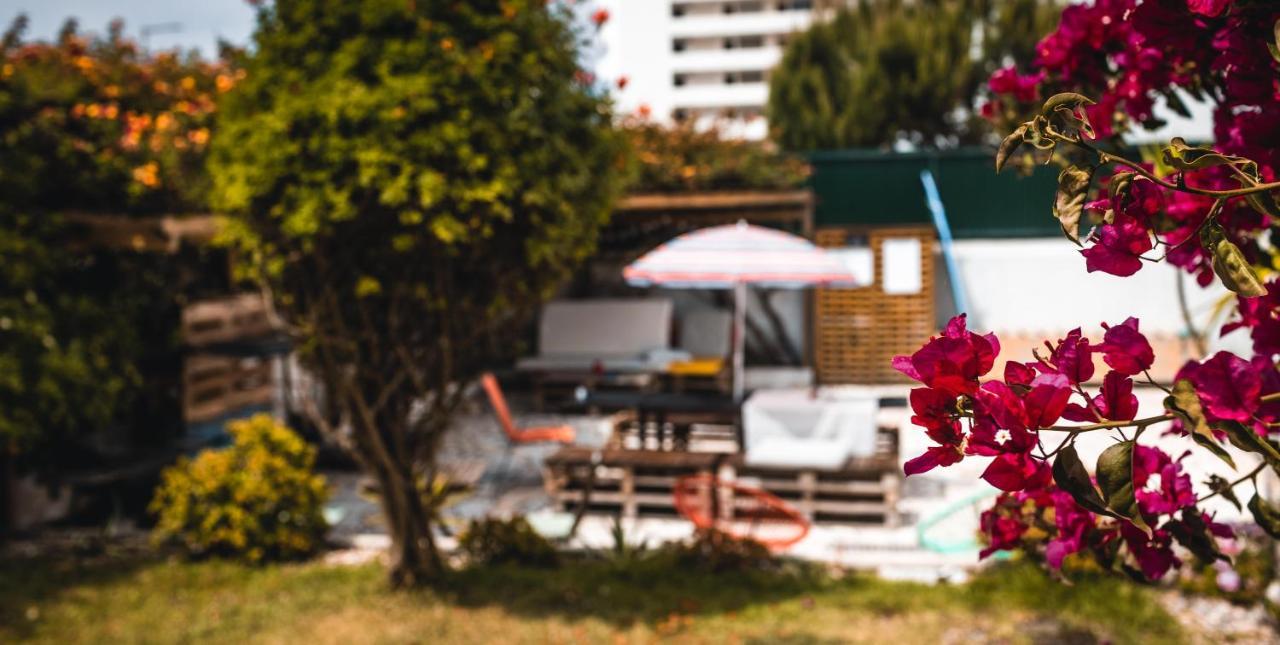 Sandycamps Surf House 발리알 외부 사진